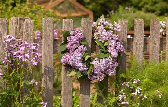 Gartenzäune und Co