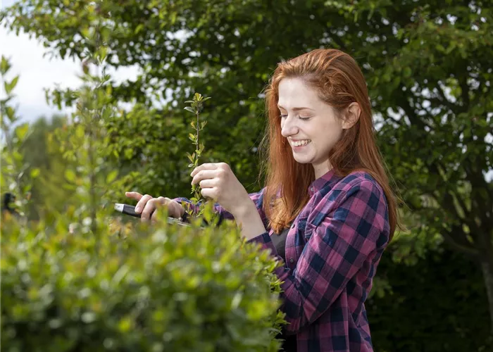 Diese Arbeiten sind jetzt im Garten noch nötig